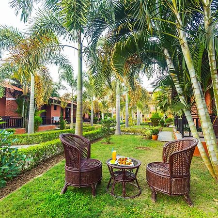 Vision Safari Pvt Ltd Hotel Sauraha Luaran gambar
