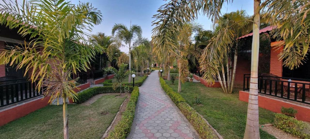 Vision Safari Pvt Ltd Hotel Sauraha Luaran gambar